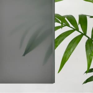 RGW  06095699-31