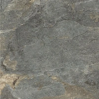 Delacora Dream Newtrend D60224M