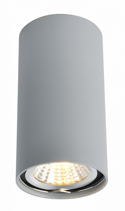 Светильник накладной Arte Lamp Unix A1516PL-1GY