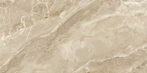 Delacora Frapucino 60120FRP21