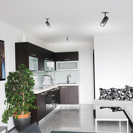 Novotech Selene