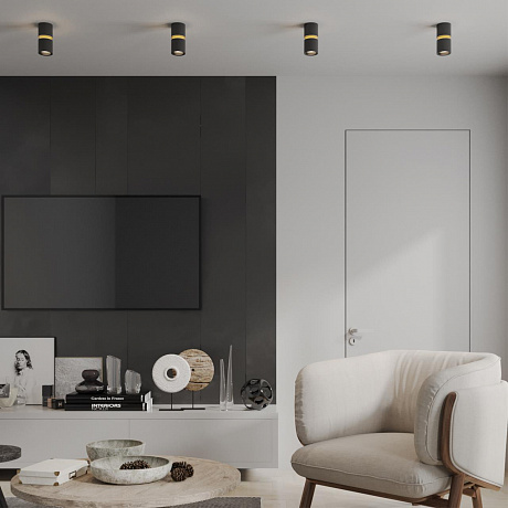 Novotech Aristo