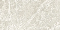 Global Tile Action GT209VG