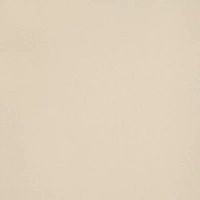 Leonardo Icon ICONCREAM120L