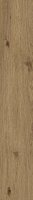 Creto Forestina 95Н190
