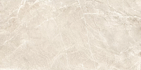 New Trend Terra 60120TER11P