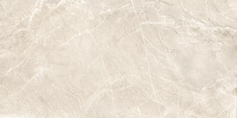 New Trend Terra 60120TER11P