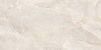 New Trend Salt D120245L