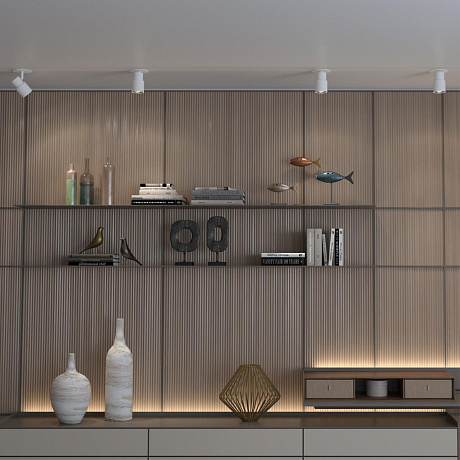 Novotech Molo