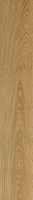 ColiseumGres Ducale 610010003503