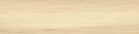 New Trend Alder GP1560ALD11