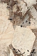 Керамогранит Creto Sunhearrt MPL-062342 120x180 см