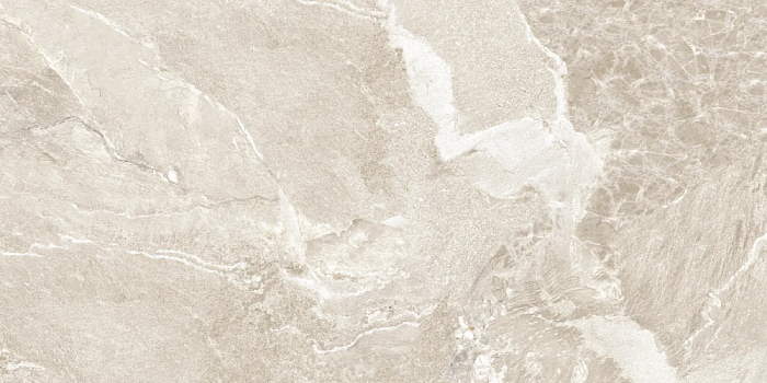 Керамогранит New Trend Wild D120262M 120x60 см