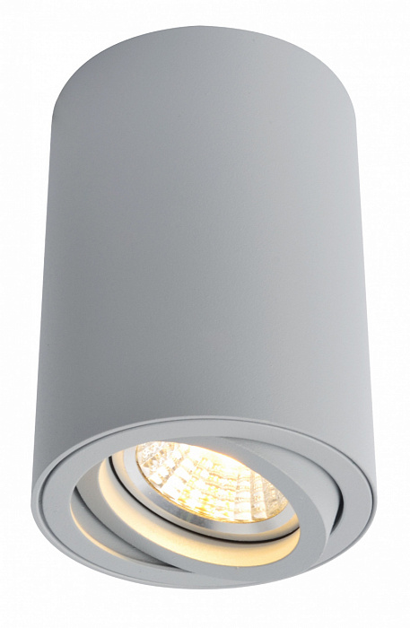 Светильник накладной Arte Lamp Sentry A1560PL-1GY
