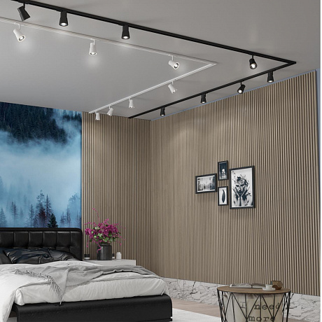 Novotech Molo
