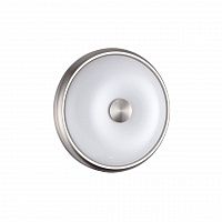 Odeon Light Pelow 4957/2