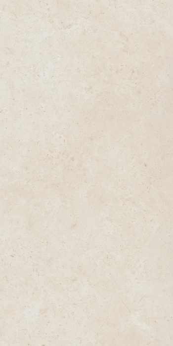 Керамогранит Italon Fossil 610010004097 120x60 см