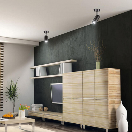 Novotech Selene