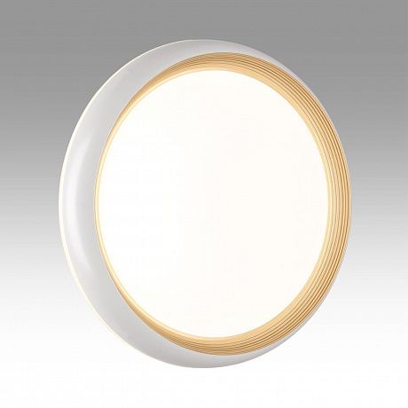 Sonex Tofiq White