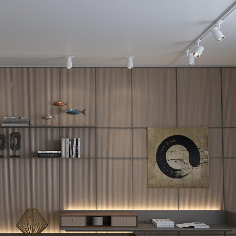 Novotech Molo