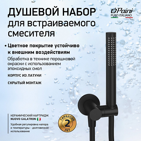Paini  53YO440/739