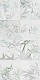 Декор Creto Tropicano ND_P0030 (старый пакинг) 30x60 см