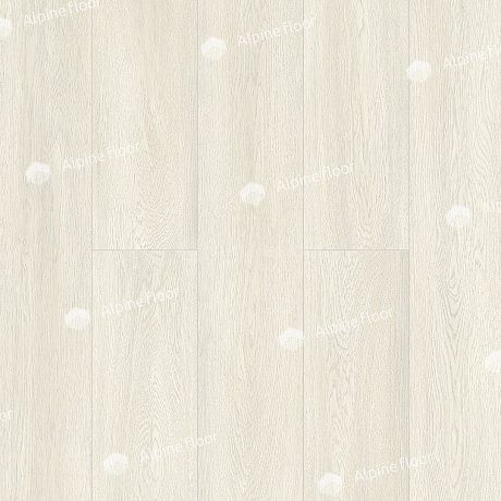 Alpine Floor Intense ECO 9-1
