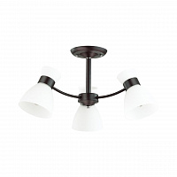 Lumion Wilma 4534/3C